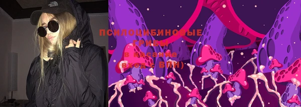 spice Козловка