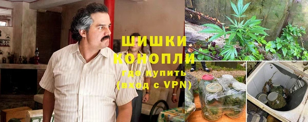 spice Козловка