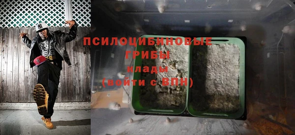 spice Козловка