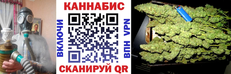 Канабис сатива Лысково